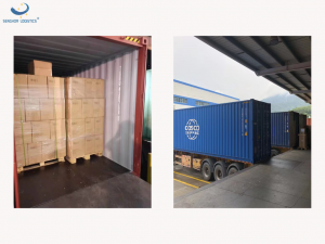 Ocean shipping freight agency China to France