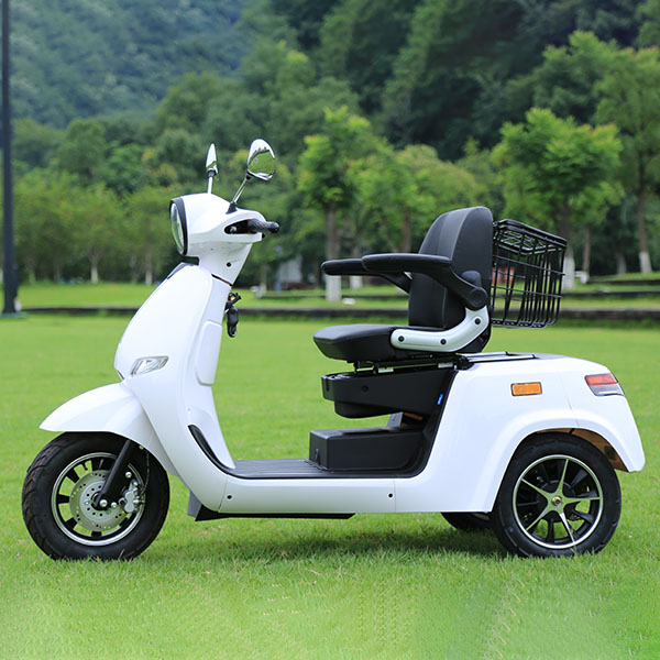 EEC DOUBLE MOTOR 400W ELECTRIC SCOOTER CHARGING ELECTRIC TRICYCLE