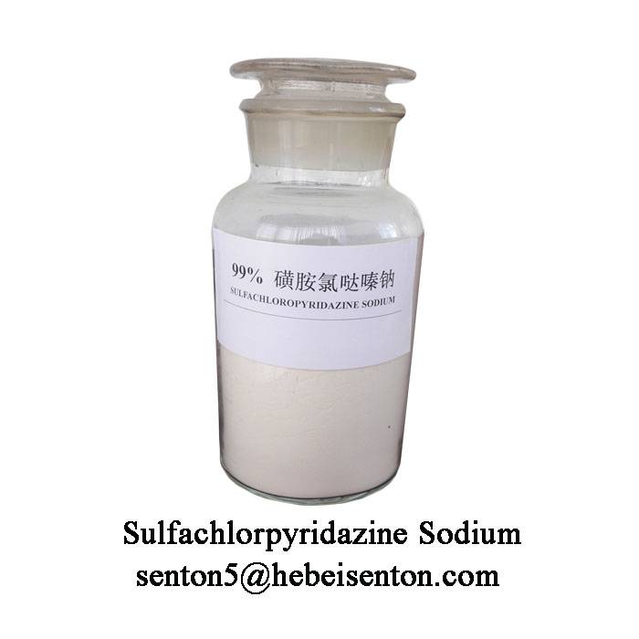 Excellent quality Veterinary Drugs - Pale Yellow Solid Sulfachlorpyridazine Sodium  – SENTON