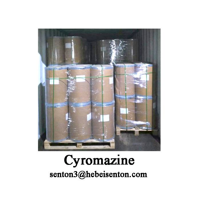 Agricultural Pesticides Cyromazine Insecticide