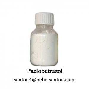 This new type of control agent, the effect is much better than paclobutrazol-procyclonic acid calcium