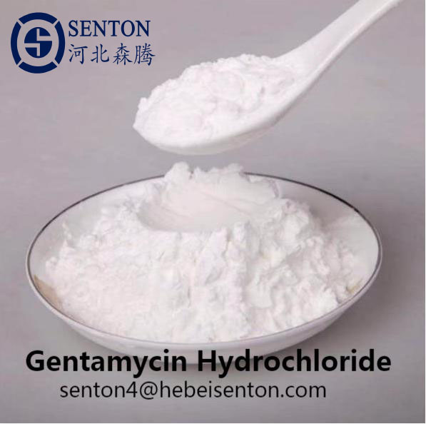 Cheap price Tetramethrin And Permethrin -  Efficient Gentamycin Hydrochloride  – SENTON