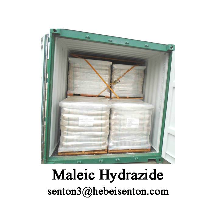 China Cheap price Extract Hesperidin - High Quality Plant Growth Regulator Maleic Hydrazide  – SENTON