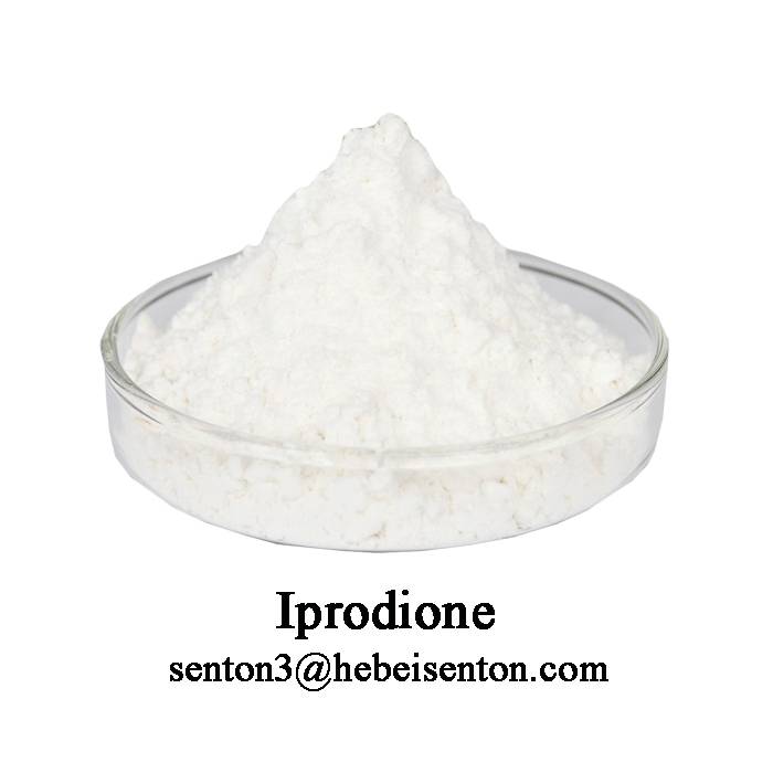 China wholesale Homemade Insecticide - Effective Contact Fungicide Iprodione  – SENTON
