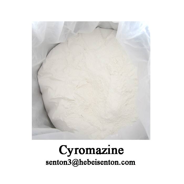 Widely Used Insecticide Cyromazine