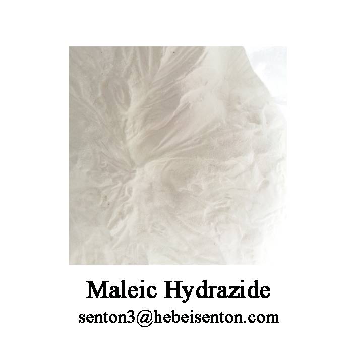 Maleic hydrazid plant growth regulator