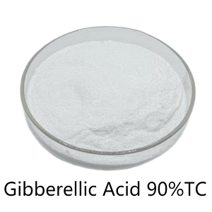 Plant Growth Regulator Factory Wholesale Price CAS. 77-06-5 Gibberellic Acid