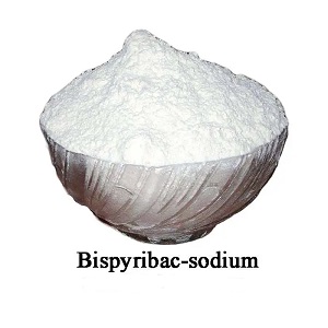 Factory Supply Herbicide Bispyribac-sodium hauv Tshuag