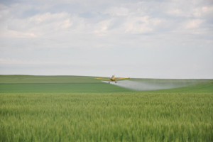 Recommended mixable ingredients for the pre-emergence sealing herbicide sulfonazole