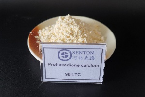 Hebei Senton leverer kalsiumtonicylat med høy kvalitet