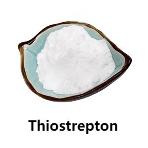Thiostrepton a l'engròs d'alta qualitat 99% CAS No 1393-48-2