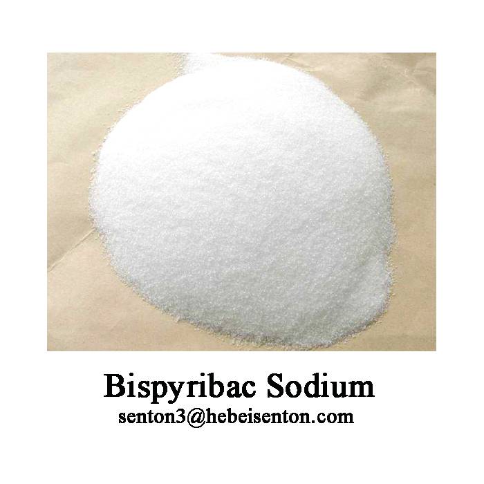 Thr Commonly Used Herbicide Bispyribac Sodium