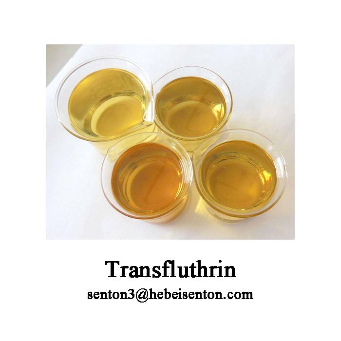 Synthetic Pyrethroid Insecticide Transfluthrin