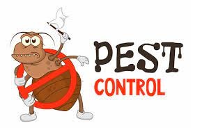 CHOOSING AN INSECTICIDE FOR BED BUGS