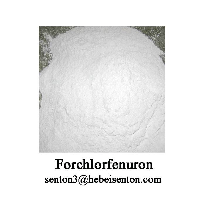 Wholesale Price China Spinosad Concentrate - White Tasteless Crystalline Solid Forchlorfenuron  – SENTON