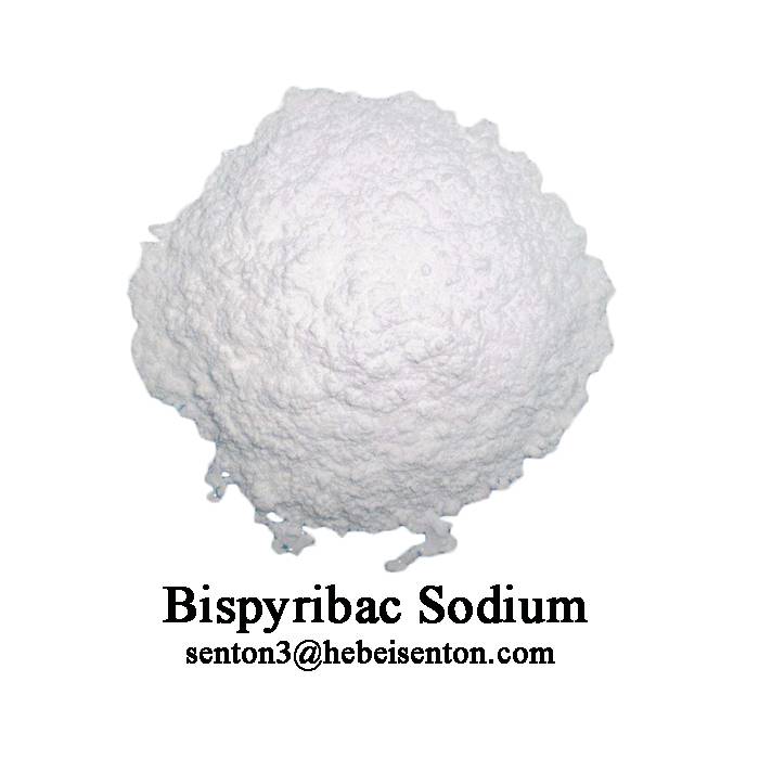 100% Original Milestone Herbicide - Bispyribac Sodium A Systemic Herbicide  – SENTON