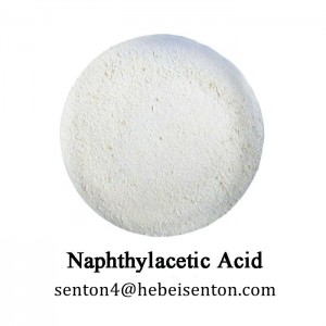 Organic Compounds of Naphthalenes Naphthylacetic Acid