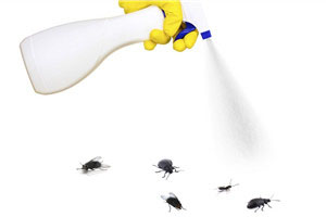 How are sanitation pesticides used?