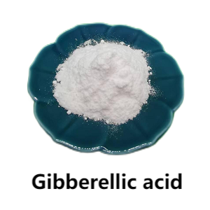 Gibberellic acid White Crystalline Powder PGR Manufacturer & Exporter