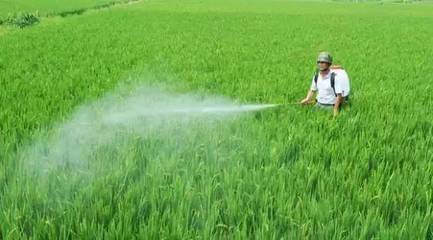 Managementul pesticidelor din orașul Hainan din China a făcut un alt pas, modelul pieței a fost rupt, a inaugurat o nouă rundă de volum intern