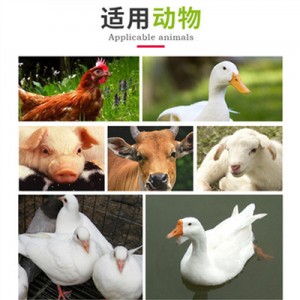 Madalaim hind Hiina ülikvaliteetse tilmikosiini eelsegu API ja söödaga segatud kana koostiste jaoks
