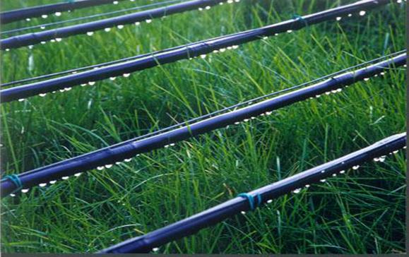 Brazil’s new regulation to control the use of thiamethoxam pesticides in sugarcane fields recommends using drip irrigation