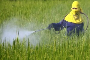 Global demand for glyphosate is gradually recovering, and glyphosate prices are expected to rebound
