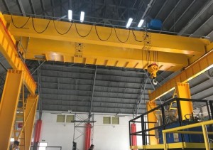 Customizable Double Girder Overhead Cranes Tailored to Your Needs