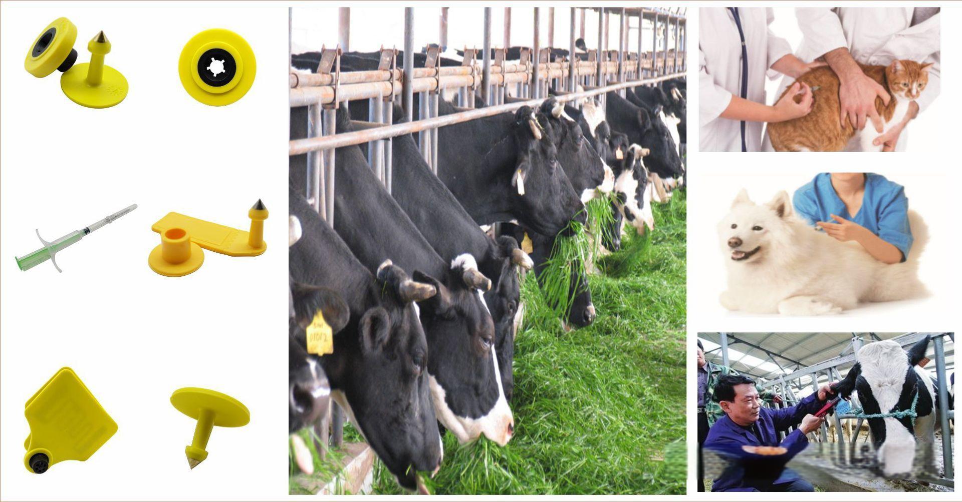 LF RFID animal ear tags: protect animal health, technology leads the future!