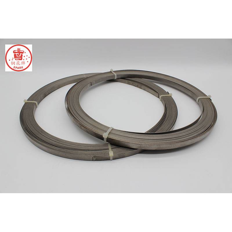 OEM Factory for Composition Of Nichrome Wire - Thin Wide Strip for glass top hot plates – Shougang