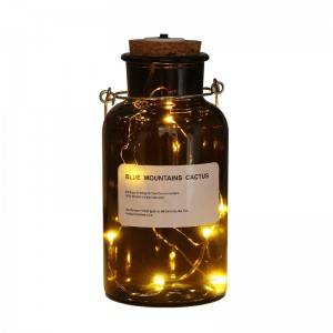 China Olive Oil Bottle Manufacturers -  Reagent Bottle Decoration Glass Lights – Sogood