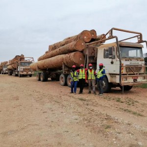Large multi-purpose transport F3000 log truck