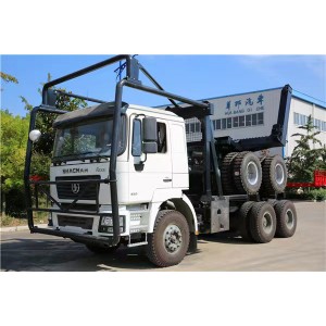 Large multi-purpose transport F3000 log truck