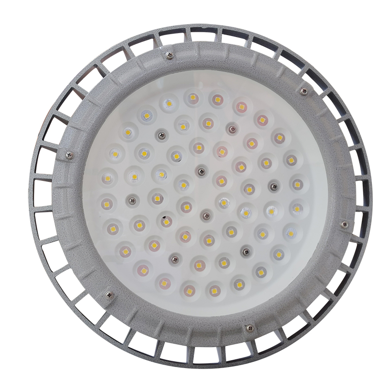 2022 Latest Design  50w Led Floodlight With Photocell - Kingkong Explosion-proof light 30-200W – Mars