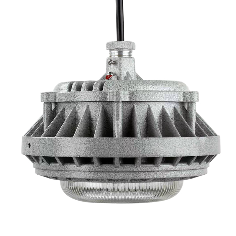 OEM Manufacturer Philips Br40 Flood Light Bulb - MINI Kingkong Explosion-proof light10-100W – Mars