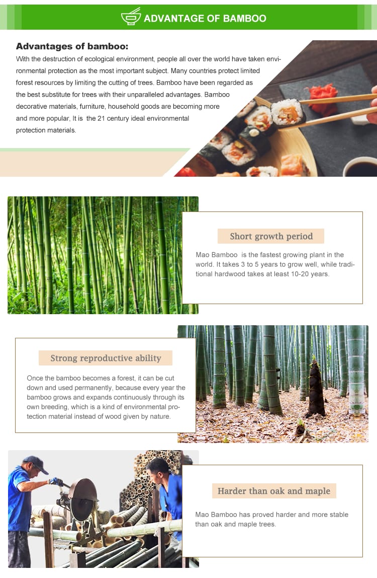 Disposable Tensoge Natural Bamboo Chopsticks in Bulk (5)