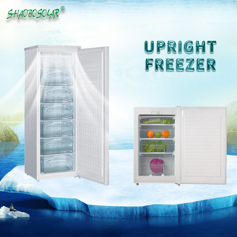 80 L/100 L/200 L Good Quality DC Upright Freezer