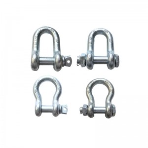 Wholesale Galvanized Screw Type D Shackles for lifting