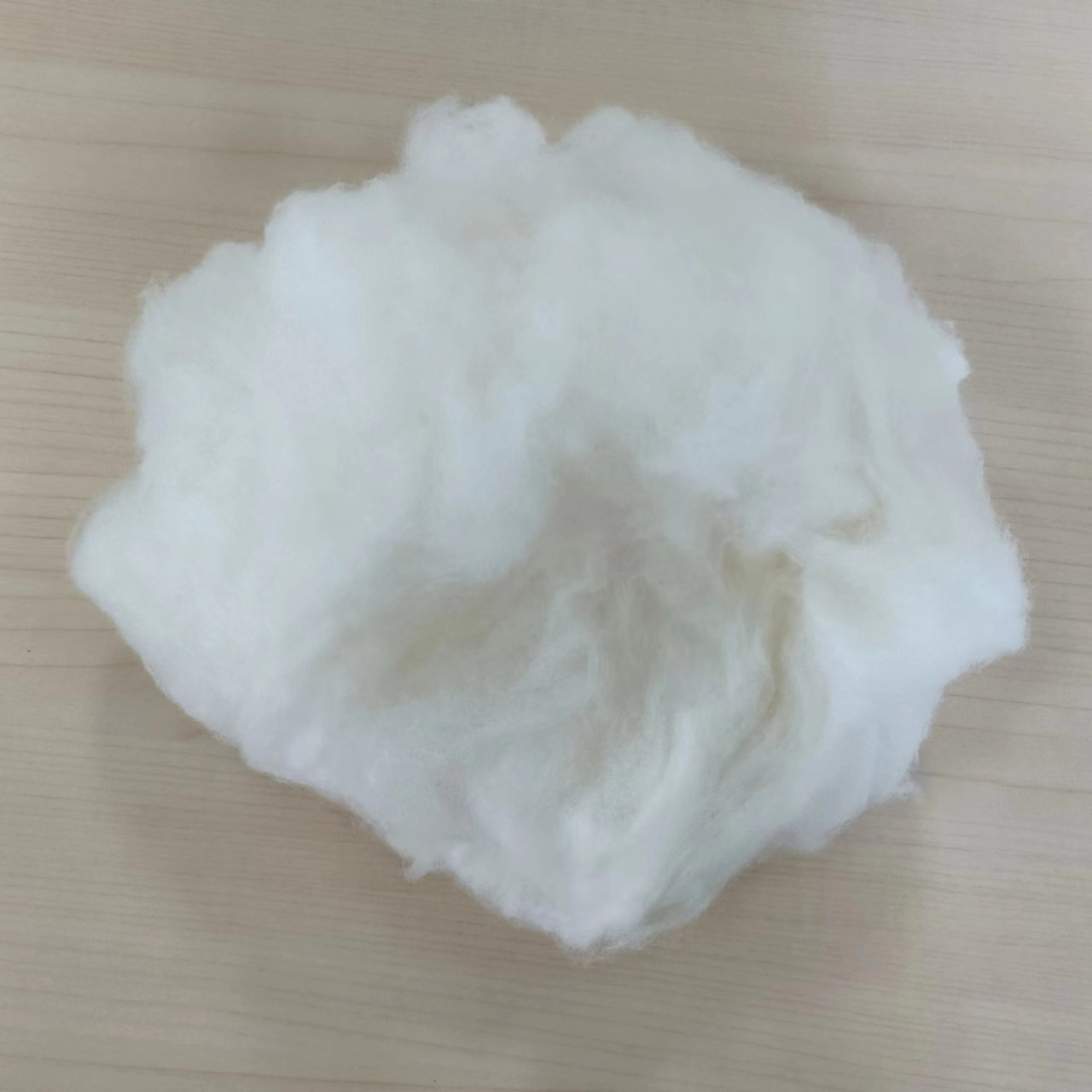 carded Chinese sheep wool white