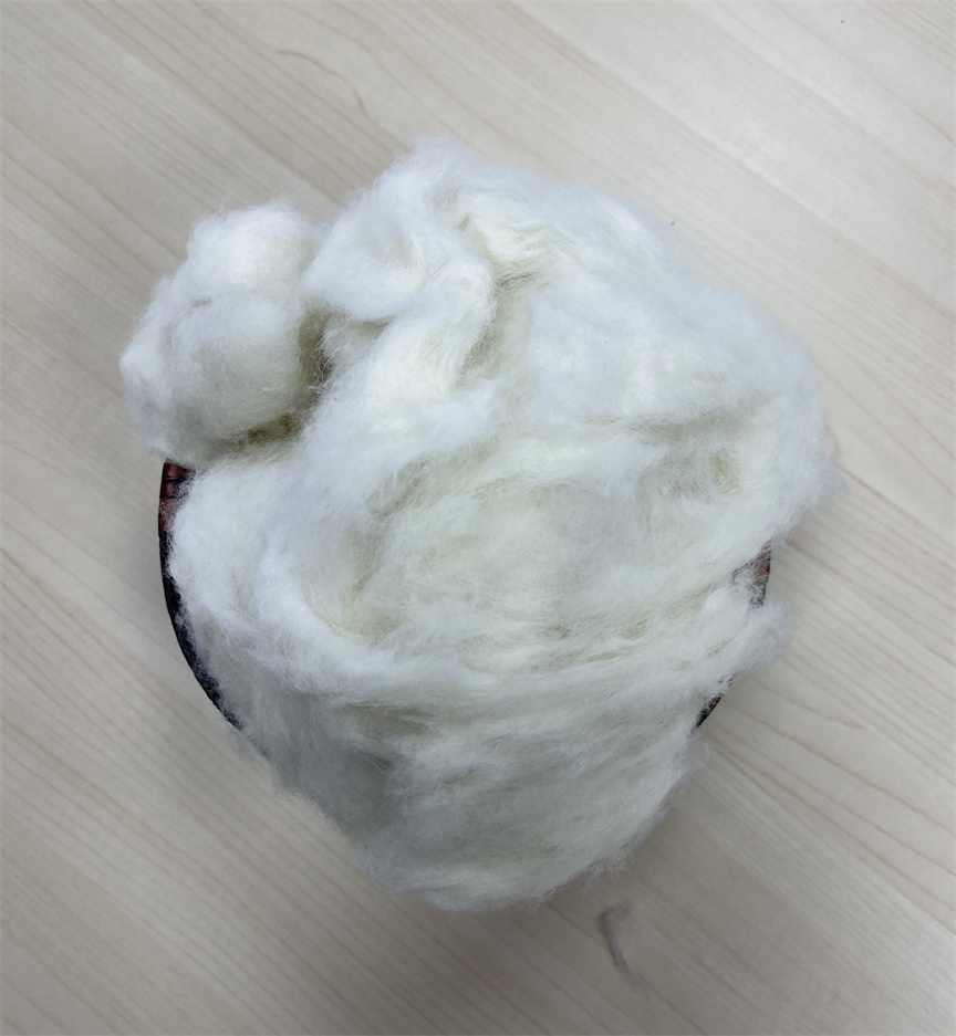 Raccoon Hair: A Sustainable and Stylish Alternative to Traditional Fur