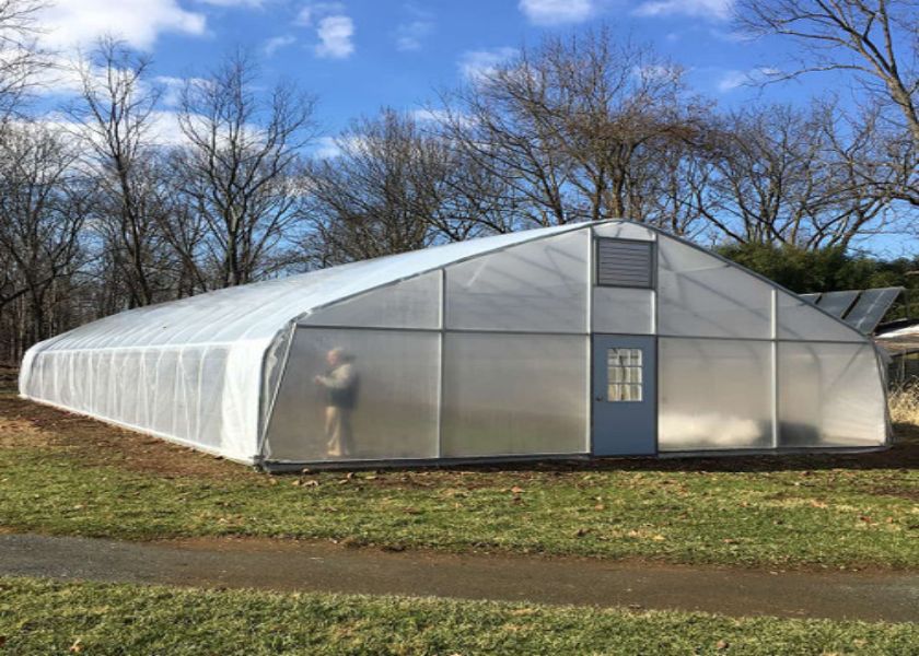 tunnel greenhouse 6M * 20M made in china