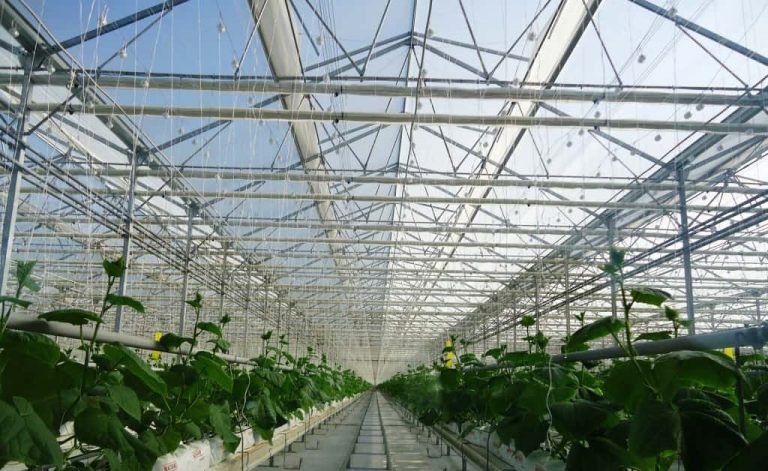How to building agricultural greenhouse