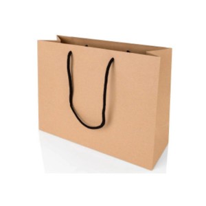 Custom print shopping paper bags with your own logo