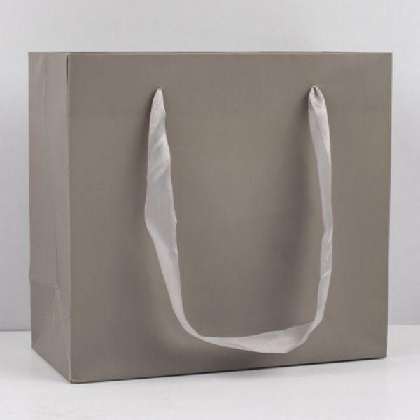 paper bag 4
