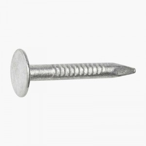 2 Inch Flat Large Head Galvanized Clout Nails for Roofing