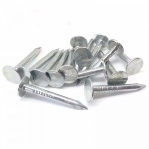 2 Inch Flat Large Head Galvanized Clout Nails for Roofing