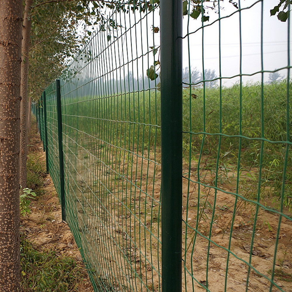 PVC coated fence1