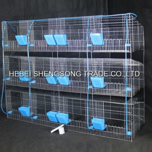 Hot Sale for China High-Grade Stainless Steel Pet Cat Cage