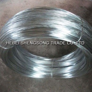 Fornitore OEM / ODM Cina Filo con anima in ferro zincato a caldo Tipo Razor Barb Wire Recinzione Bto-22