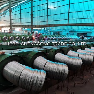 OEM/ODM Supplier China Hot Dipped Galvanized Iron Core Wire Type Razor Barb Wire Fencing Bto-22